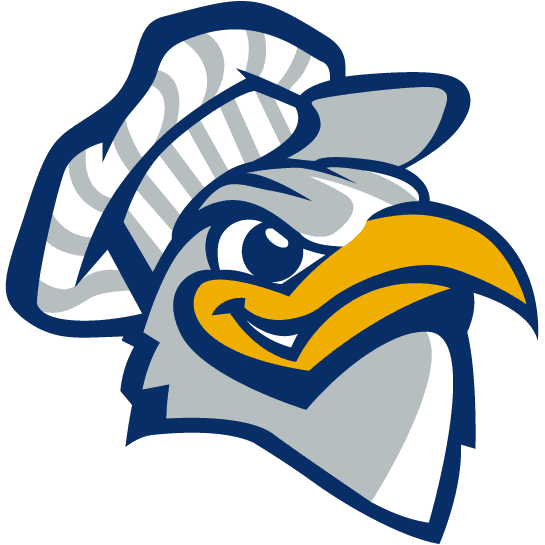 Chattanooga Mocs 2001-2007 Alternate Logo v3 diy iron on heat transfer